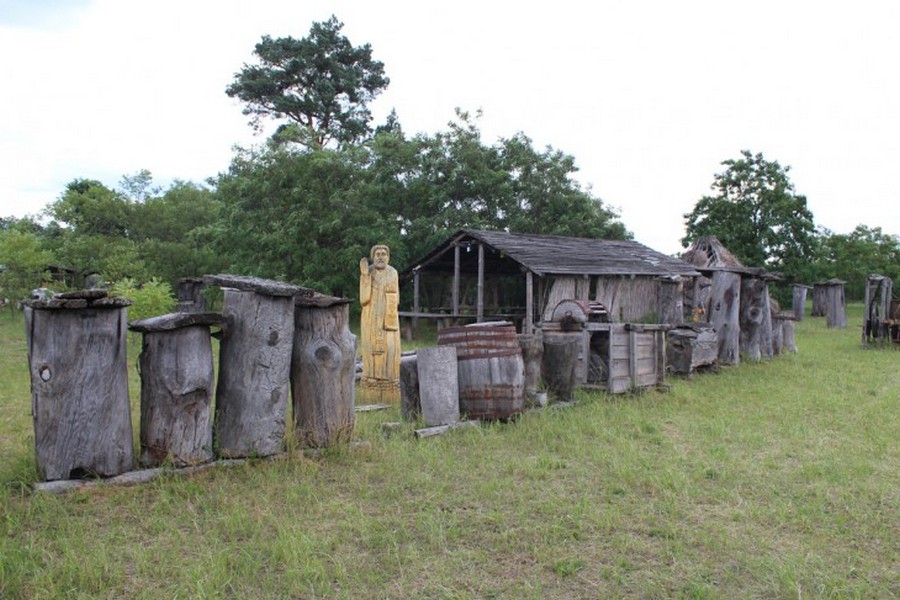 MIKOŁAJ KACZANOWSKI I JEGO MUZEUM BARTNICTWA