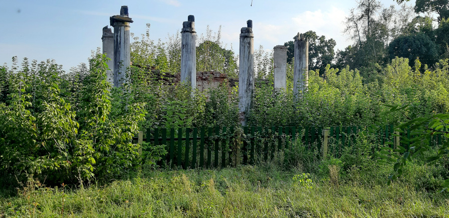 Co pamietają ruiny Radziwiłlmontów nad Ceprą ?