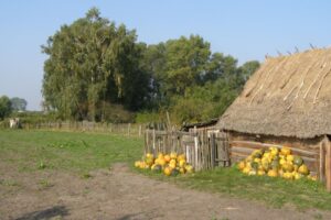 Jesień idzie przez Polesie
