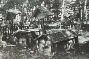 Domy dla umarłych. Naruby i prykłady na dawnych cmentarzach Polesia